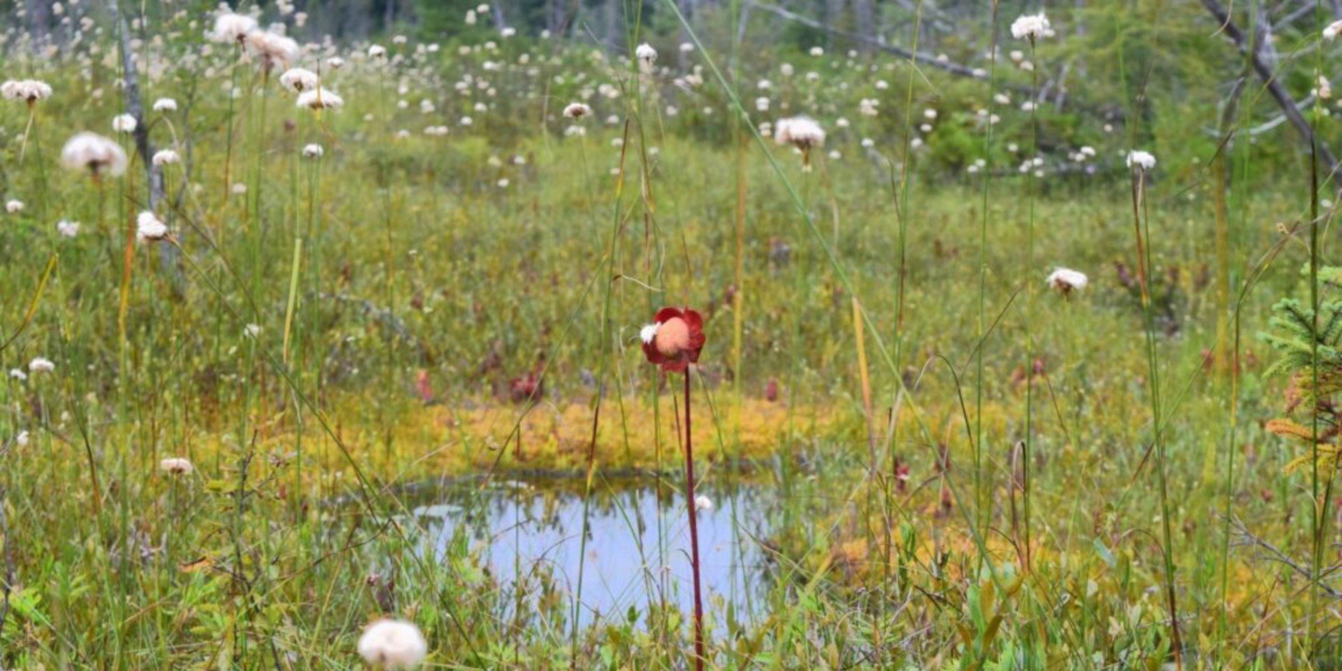 (c) Jeanne Rouillard / Unsplash (c) Jeanne Rouillard / Unsplash