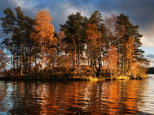 bewaldete Insel auf dem See Vuoksa im Abendlicht