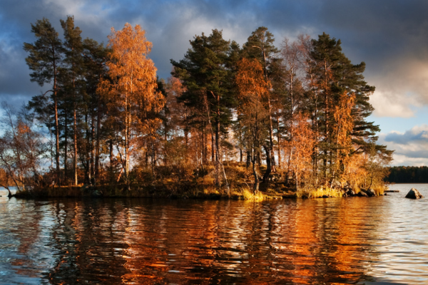 bewaldete Insel auf dem See Vuoksa im Abendlicht