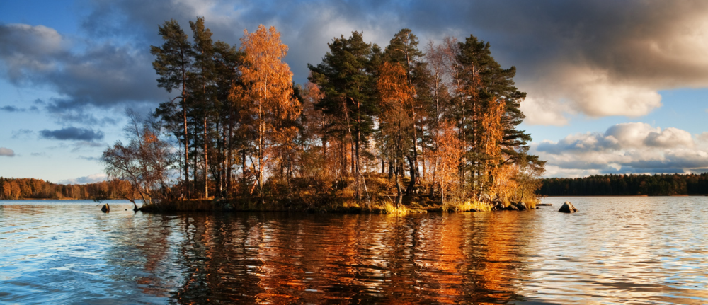 bewaldete Insel auf dem See Vuoksa im Abendlicht